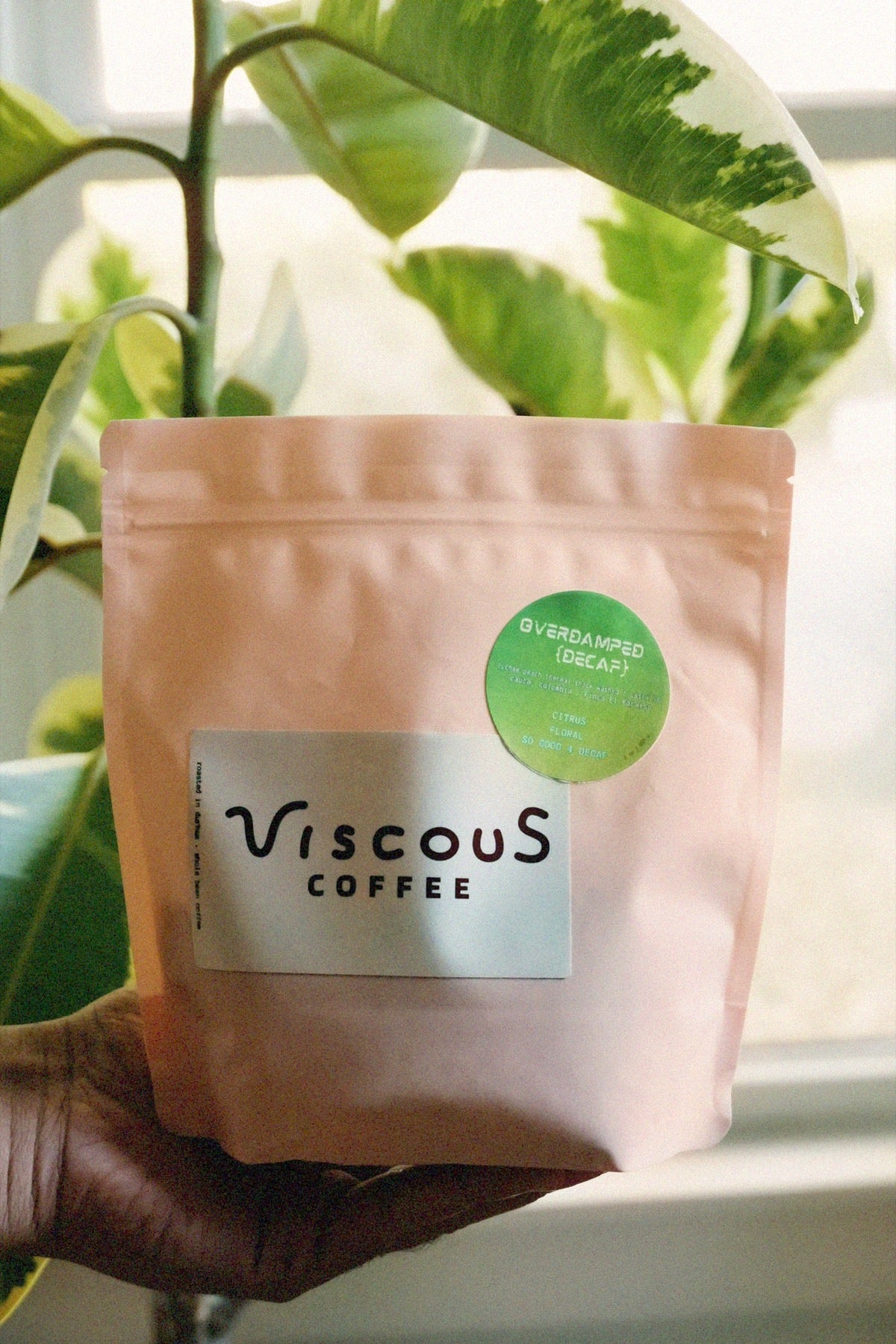 Overdamped Decaf coffee bag held among green leaves
