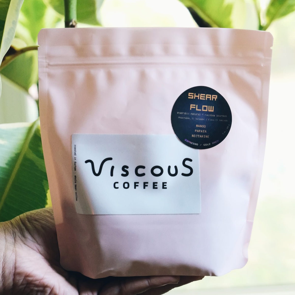 Shear Flow coffee bag held among green leaves