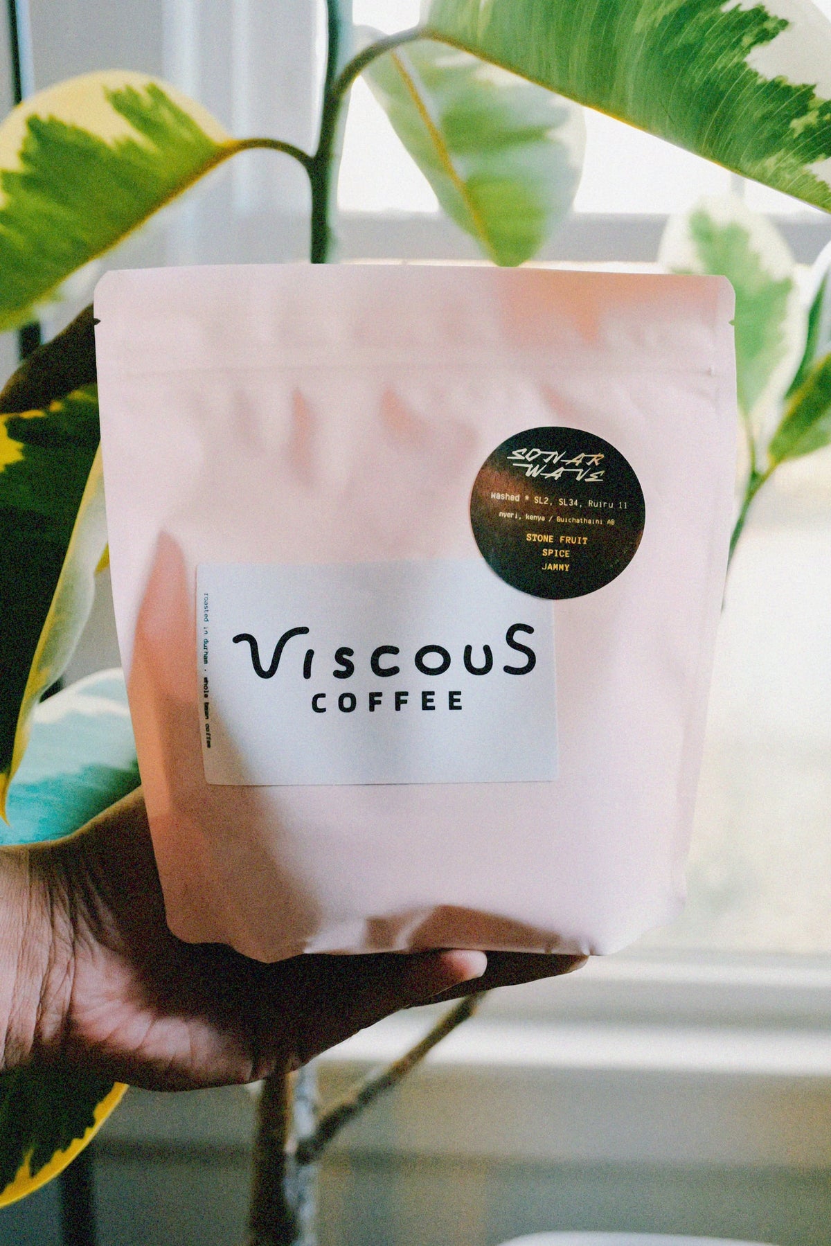 Sonar Wave coffee bag held among green leaves